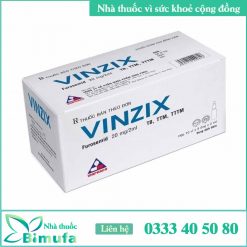 Thuốc tiêm Vinzix 20mg/2ml