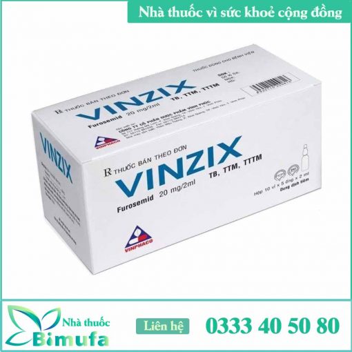 Thuốc tiêm Vinzix 20mg/2ml