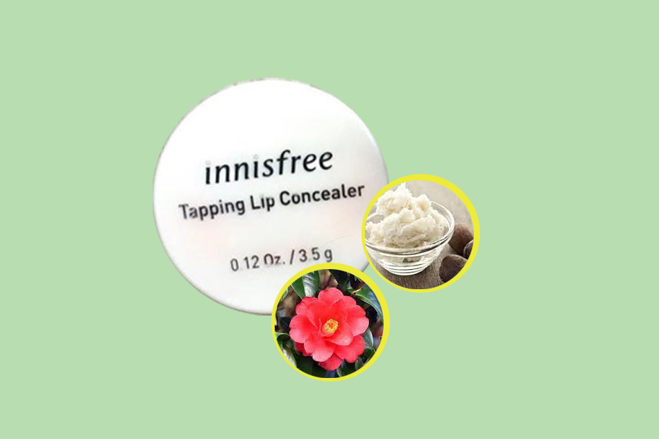 Thành phần Innisfree Tapping Lip Concealer 3.5g