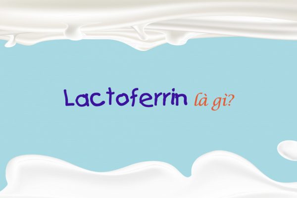 Lactoferrin là chất gì?
