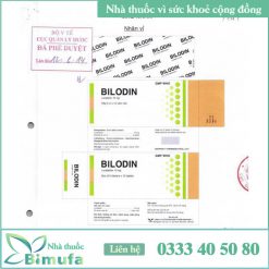 Hình ảnh nhãn thuốc Bilodin