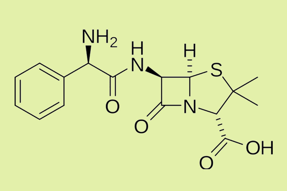 Cấu trúc hóa học của Ampicillin