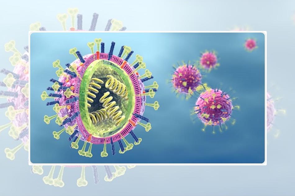 Virus cúm là nguyên nhân chủ yếu gây bệnh viêm phế quản