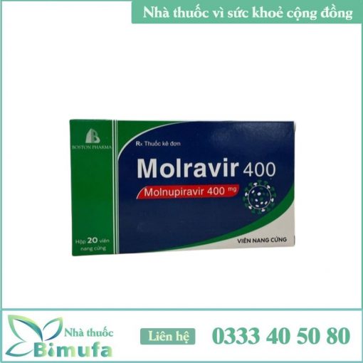 Thuốc Molravir 400 là thuốc gì
